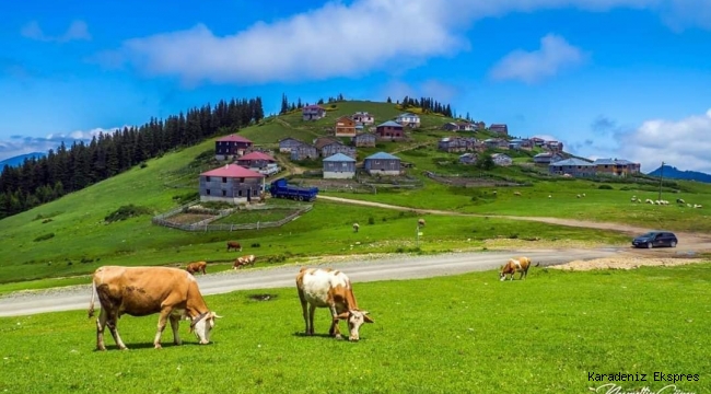 Yeşil Yol Projesi’nin İptal Kararı Kaldırıldı!