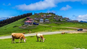 Yeşil Yol Projesi’nin İptal Kararı Kaldırıldı!