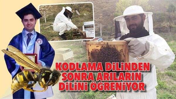 ORDU MESUDİYELİ SELÇUK AKKAYA TÜM KARİYERİNE VEDA EDİP KÖYÜNE DÖNÜ 