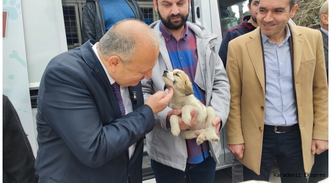 BAŞKAN TAVLI,