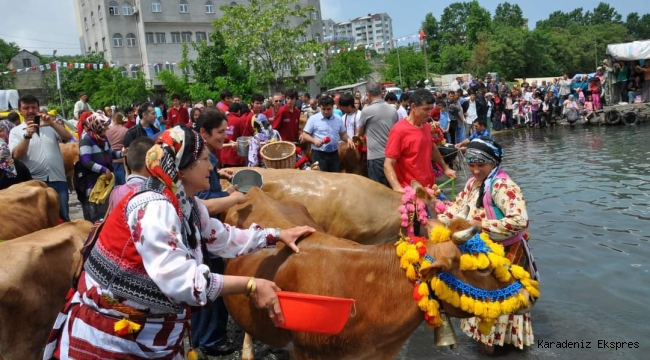 Trabzon Beşikdüzü Mayıs Yedisi Geleneği