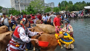 Trabzon Beşikdüzü Mayıs Yedisi Geleneği