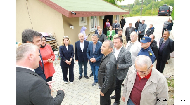 Vali Sonel,