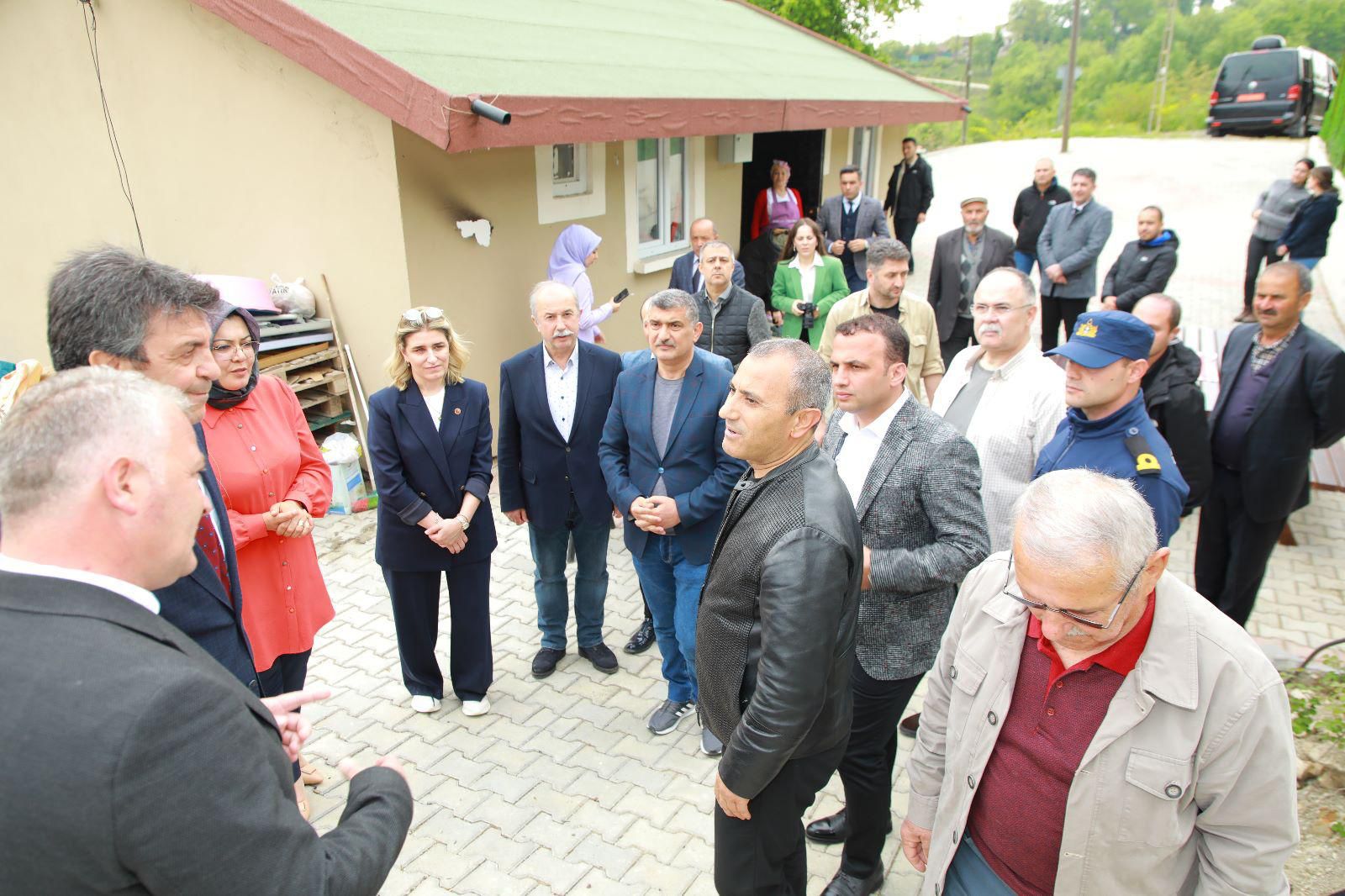Vali Sonel, 