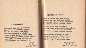 1960'larda Bakırköy Ruh ve Sinir Hastalıkları Hastanesi'nde Yatan Akıl Hastalarının Yazdığı Şiirler.