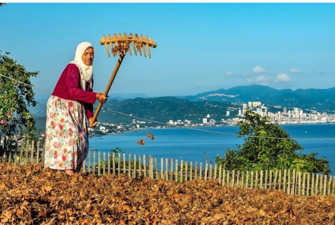 2024 ÜRETİM YILI ÇİFTÇİ KAYIT SİSTEMİ BAŞVURULARI 1 EYLÜL'DE BAŞLIYOR
