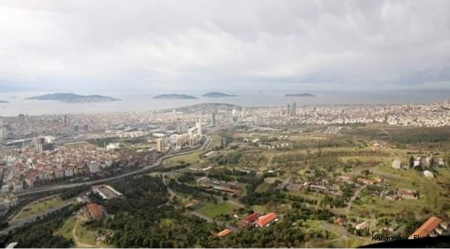 FENERBAHÇE KULÜBÜNE VERİLEN İSTANBUL MALTEPE ORMANLARI ELDEN GİDİYOR!