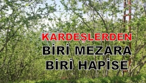 FINDIK BAHÇESİ YÜZÜNDEN KARDEŞ KATİLİ OLDU