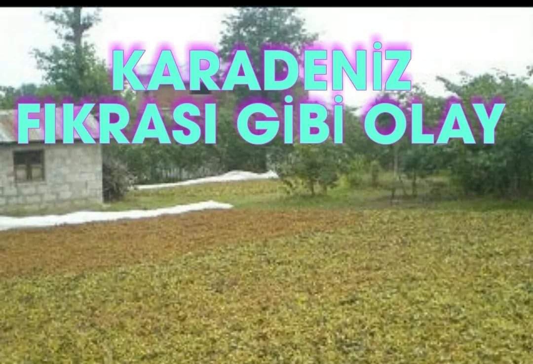 Fındıkta yaşanmış gerçek bir olay hem gülümsetti hem üzdü