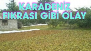 Fındıkta yaşanmış gerçek bir olay hem gülümsetti hem üzdü 