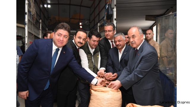 Ordu da TMO Fındık Alımına Başladı