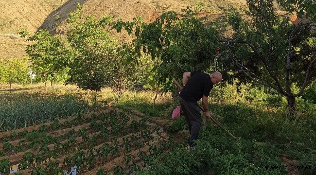 Turan Ateş bey 'in yazısı: ORMANLARIMIZ!...