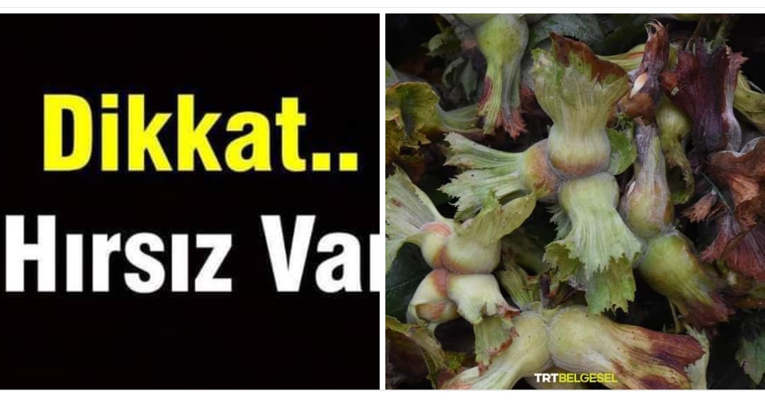 VATANDAŞLARIMIZIN DİKKATİNE ! 