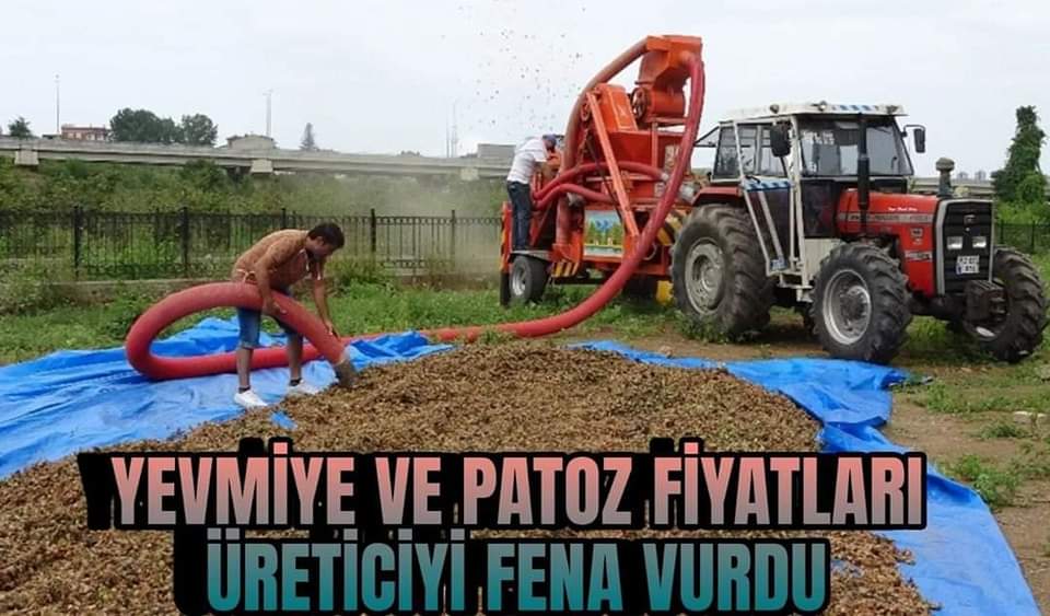 YEVMİYE VE PATOZ FİYATLARI ÜRETİCİYİ KÖTÜ VURDU!