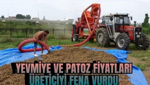 YEVMİYE VE PATOZ FİYATLARI ÜRETİCİYİ KÖTÜ VURDU!