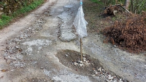 Çanakçı deregözü ve düz köydeki yollarda yatır mı var...