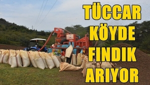 Fındık bu sene çok değerli... Tüccar köyde fındık arıyor