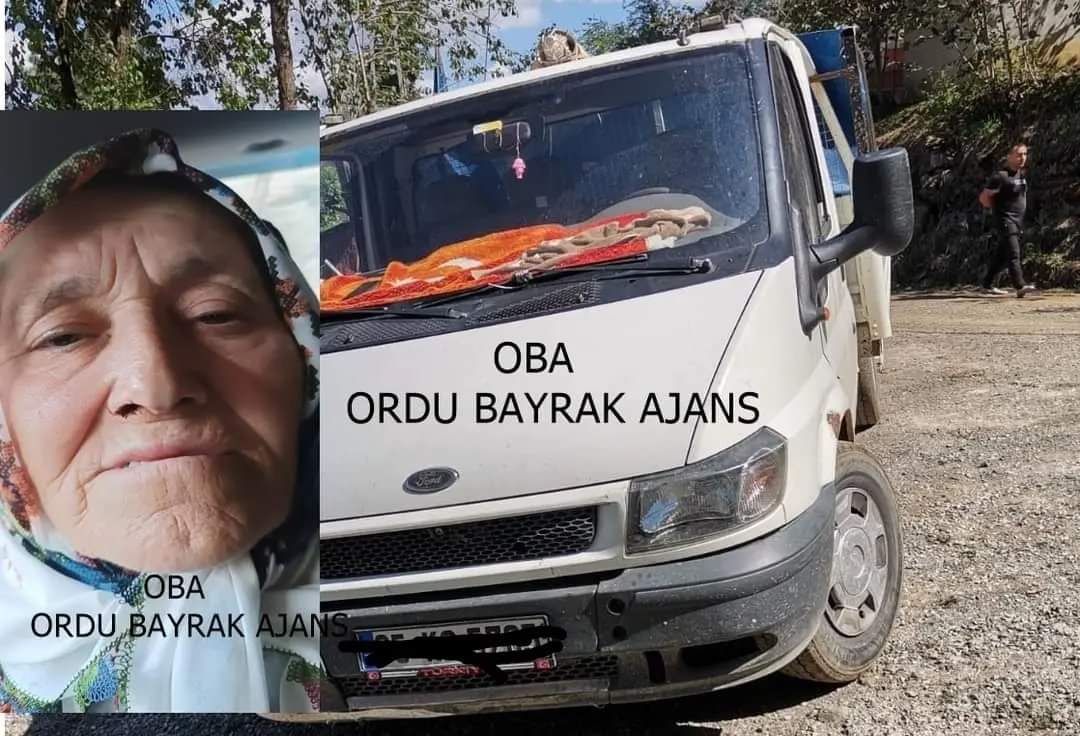 GÖLKÖY DE KORUK FINDIK KAVGASI