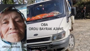 GÖLKÖY DE KORUK FINDIK KAVGASI