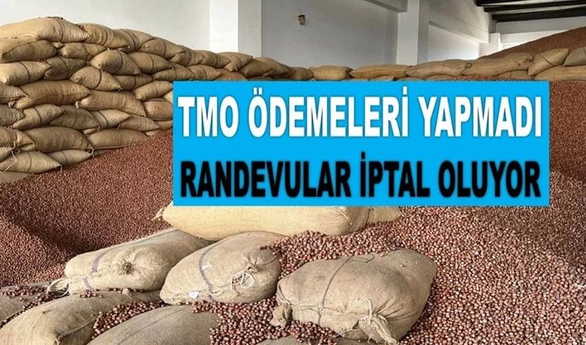 TÜCCAR TMO'YU GEÇİNCE ÜRETİCİ RANDEVUSUNU İPTAL EDİYOR