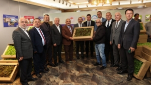 9 belediye başkanı toplanıp Ordu'ya yaptıkları hizmet maruz fidesi dağıtmak