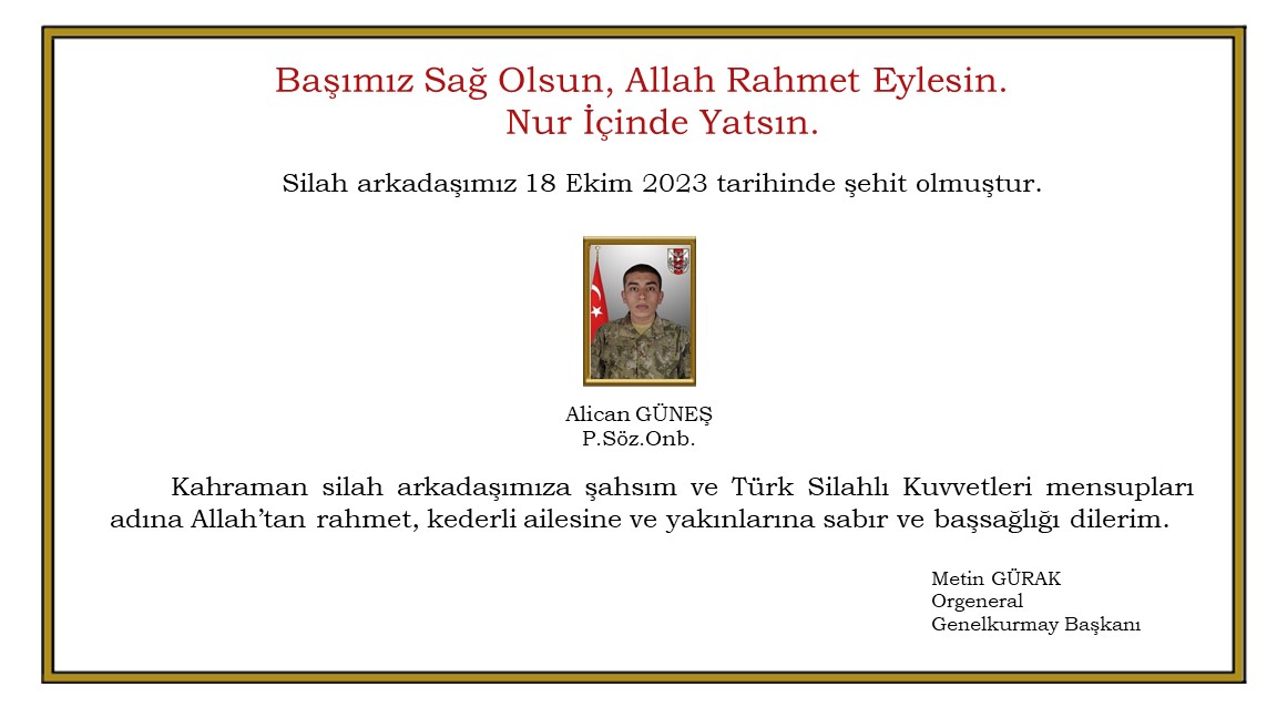 MSB acı haberi duyurdu: 1 asker şehit oldu