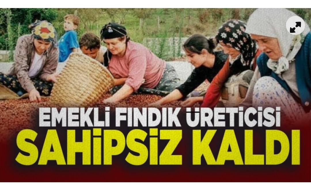Emekli çiftçilerimiz cezalandırılıyor... 