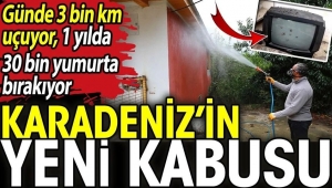 Karadeniz’in yeni kabusu. ...