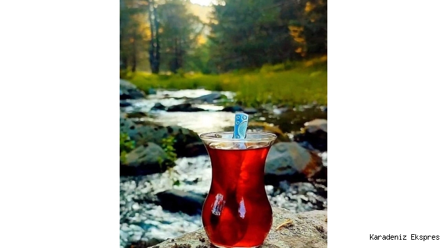ÇAY DEYİPTE GEÇMEYİN...!