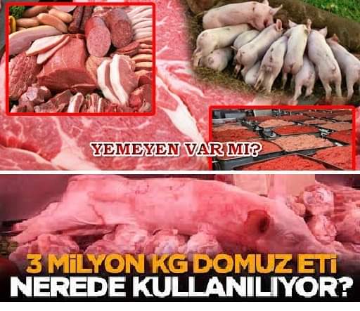 VURDUMDUYMAZ YÖNETİM, SAMİMİYETSİZ MUHALEFET VE DUYARSIZ BELEDİYELER YÜZÜNDEN DOMUZ ETİ TÜKETİMİ HIZLA ARTTI! 