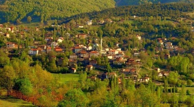 NİKSAR'DA BİR GÜRCÜ KÖYÜ: SORHUN