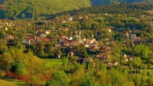 NİKSAR'DA BİR GÜRCÜ KÖYÜ: SORHUN 