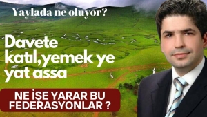 Ercan Gevrek yazdı : Perşembe Yaylasında Neler Oluyor?