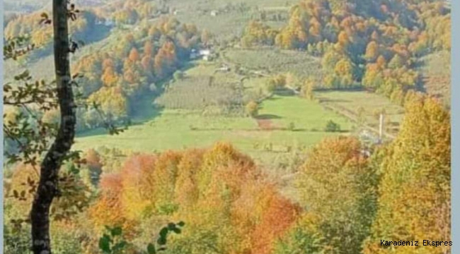 KÖYDE SAATLER BAŞKA TÜRLÜ AKAR