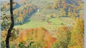 KÖYDE SAATLER BAŞKA TÜRLÜ AKAR 