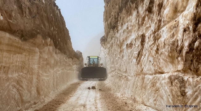 Rize'de yüksek rakımlı yayla yollarında kar temizleme çalışmaları sürüyor