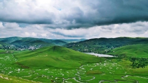 Giresun ve Ordu'ya talih kuşu kondu