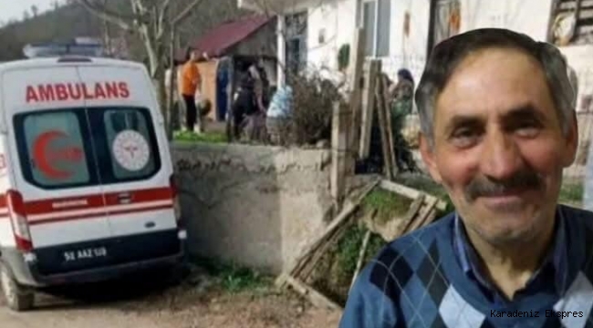 Ahırda ölü olarak bulundu