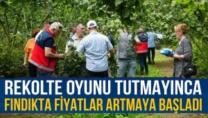 FINDIKTA FİYATLAR YÜKSELMEYE BAŞLADI 