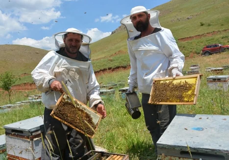 Ordulu Kardeşlerin Hakkari’de Çeyrek Asırlık Bal Serüveni 