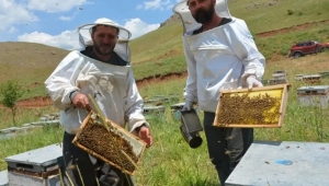Ordulu Kardeşlerin Hakkari’de Çeyrek Asırlık Bal Serüveni 
