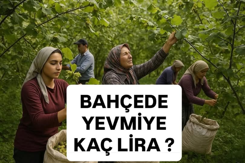 BAHÇEDE YEVMİYE KAÇ LİRA? 