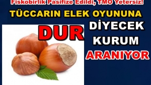 Fındığın Gölgesinde Direniş: Türkiye’de Fındık Üreticisinin Sessiz Mücadelesi...