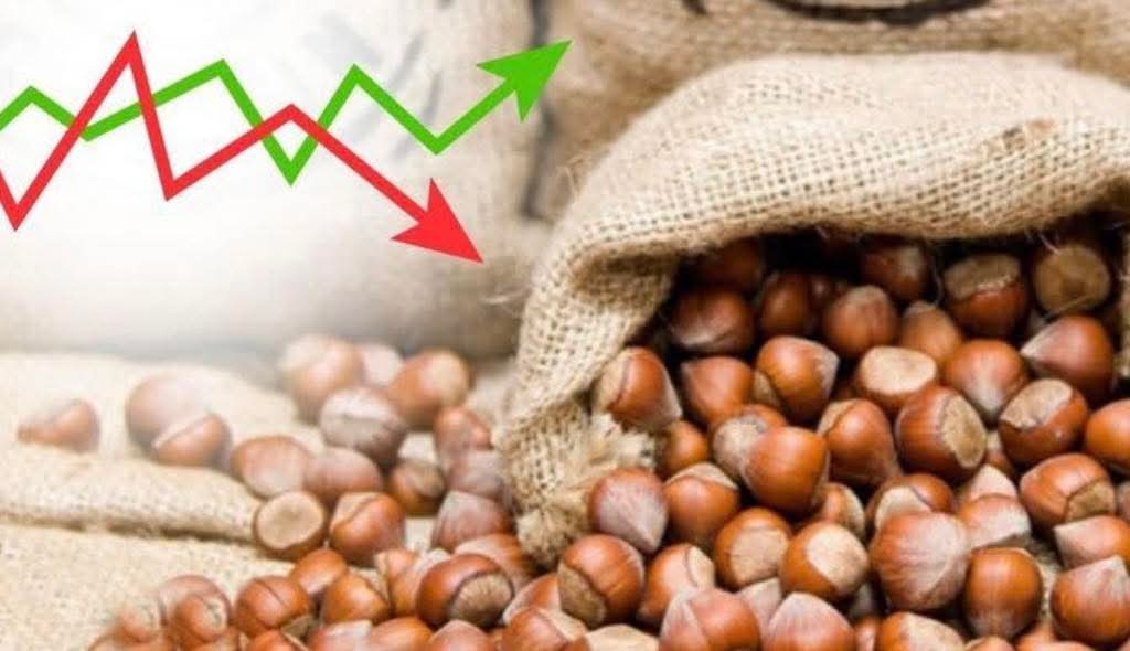Toprak Mahsulleri Ofisi 2025/26 Dönemi Kabuklu Fındık Alım Fiyatları Belirlendi 
