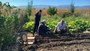 Tokat’ta salep üretimine başlanıldı
