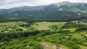 Alpler’i andıran manzarasıyla Cimban Yaylası ziyaretçileri mest ediyor 