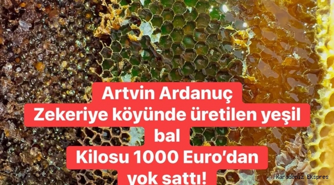 Artvin Ardanuç Zerya Köyü'nde, 