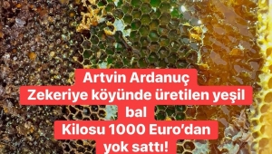 Artvin Ardanuç Zerya Köyü'nde, 