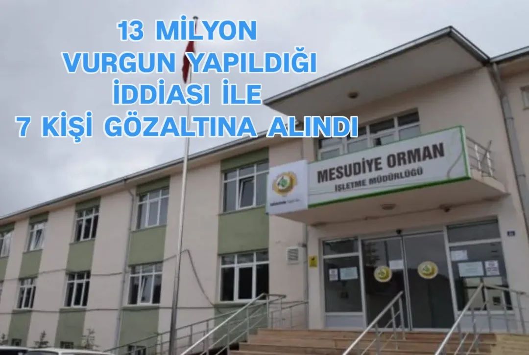 MESUDİYE ORMAN İŞLETME MÜDÜRLÜĞÜ’NDE SORUŞTURMA: 13 MİLYON VURGUN 7 GÖZALTI 