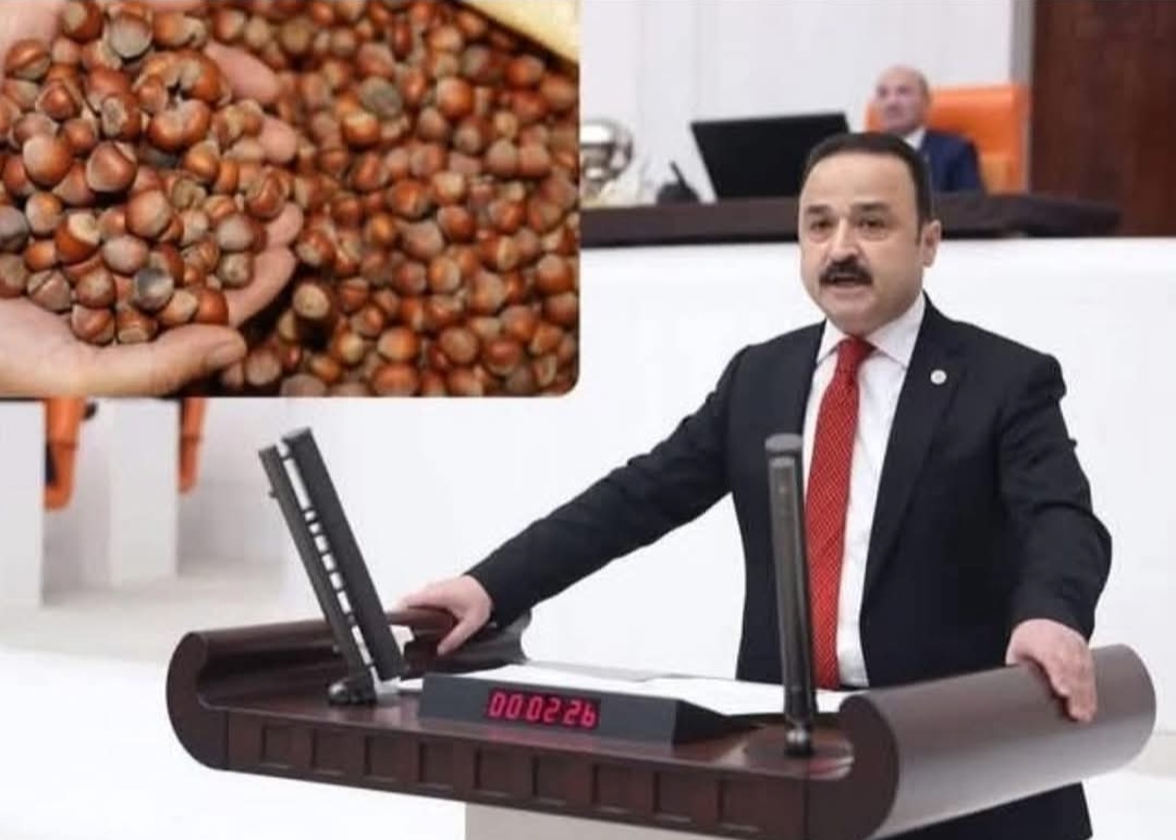 MHP Ordu Milletvekili Naci Şanlıtürk ; zirai don ödemeleri listesinde Ordu’nun yer almamasına ilişkin kamuoyunda oluşan tereddütleri giderdi 